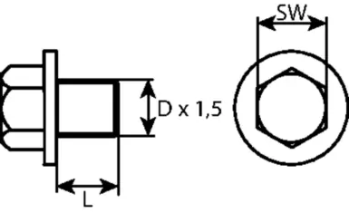 Screw Plug, oil sump