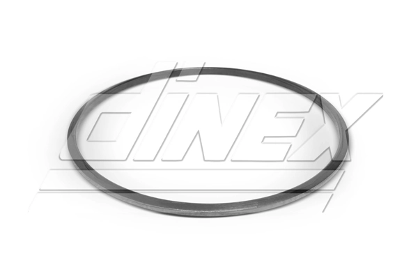 Joint d'étanchéité, tuyau d'échappement DINEX 2AL008