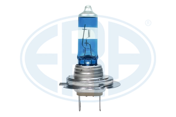 Bulb, front fog light