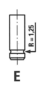 Exhaust Valve