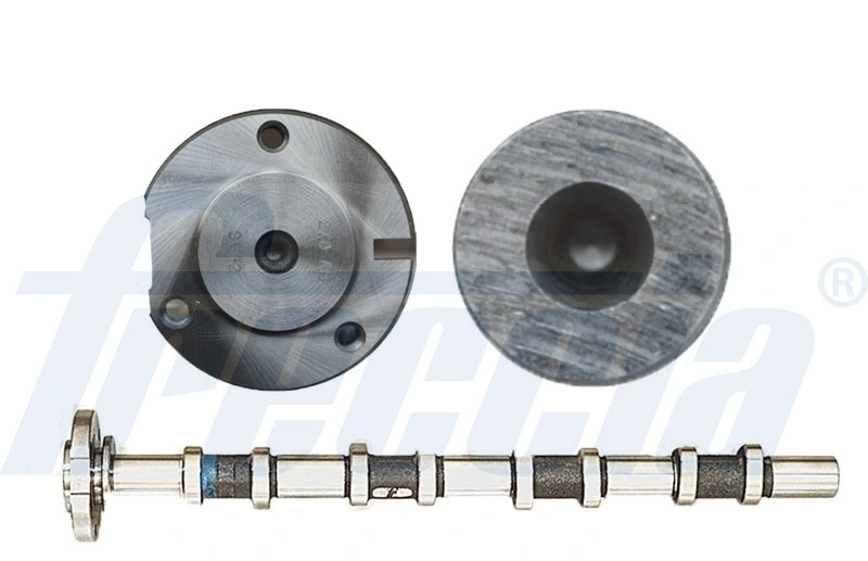 Arbre à came FRECCIA CM05-2169