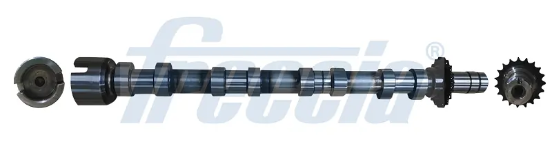 Arbre à came FRECCIA CM05-2374