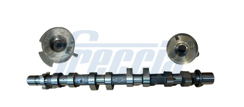 Arbre à came FRECCIA CM05-2419