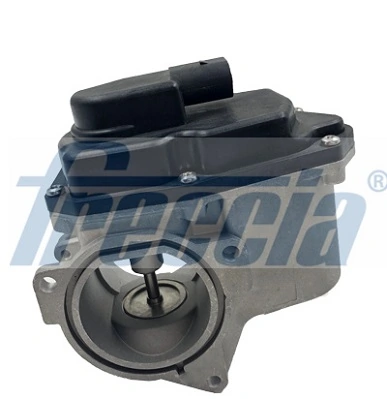 FRECCIA EGR12-123 — Клапан рециркуляції газів