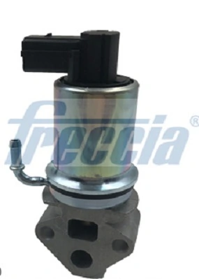 Vanne EGR FRECCIA EGR12-147