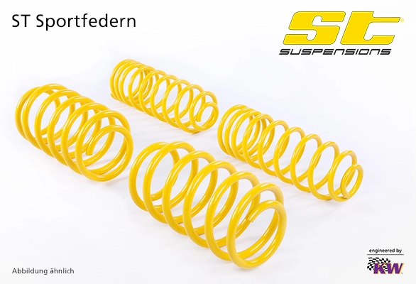 Suspension Set, springs