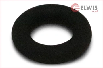 Seal Ring, injector