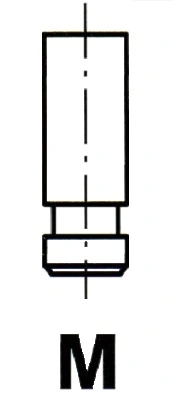 Intake Valve