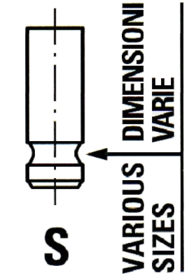 Exhaust Valve
