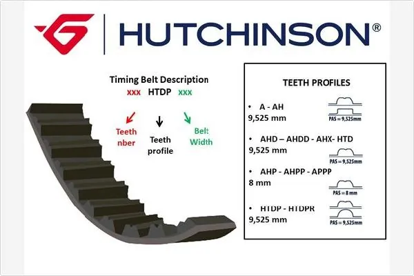 Timing Belt