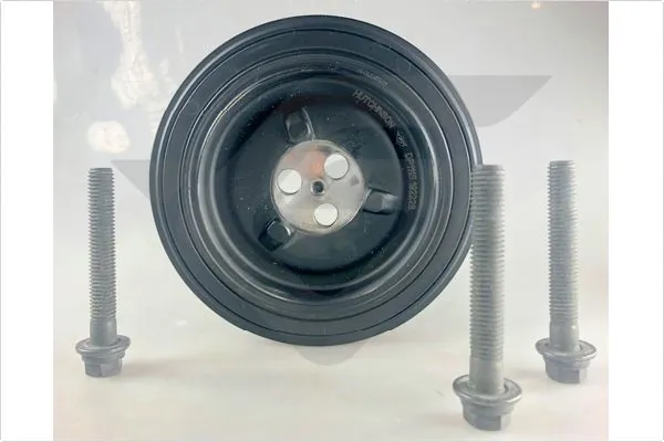 Poulie, vilebrequin HUTCHINSON DP111S