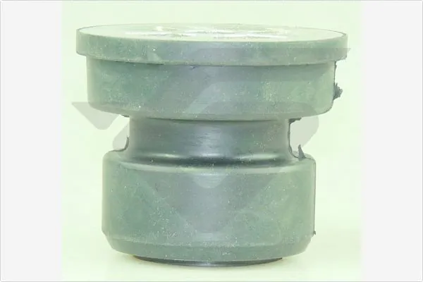 Suspension, corps de l'essieu HUTCHINSON 590506