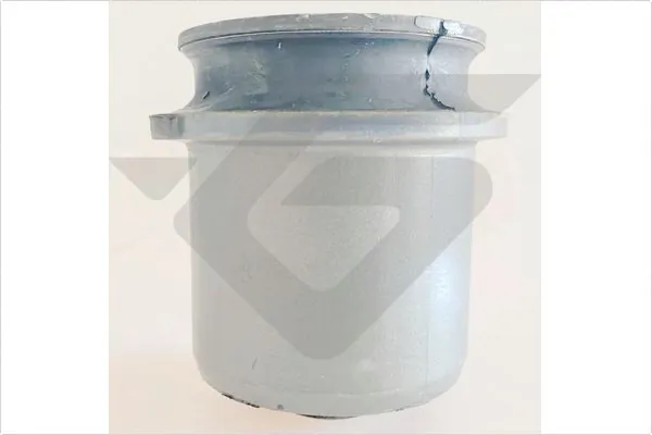 Suspension, corps de l'essieu HUTCHINSON 590565