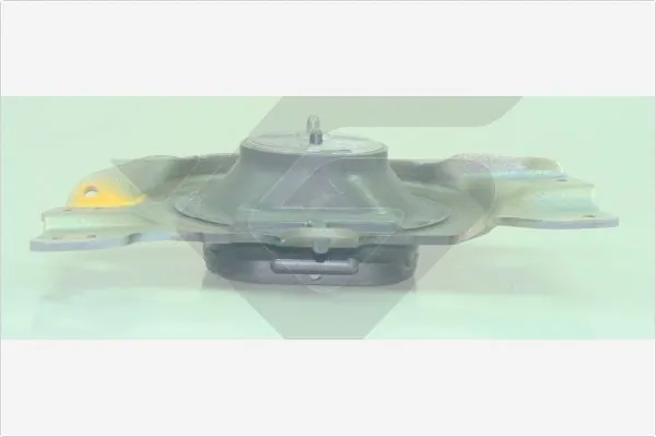 Suspension, boîte de vitesse manuelle HUTCHINSON 538C51