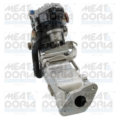 Module-EGR MEAT & DORIA 88801R