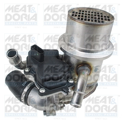 Module-EGR MEAT & DORIA 88855