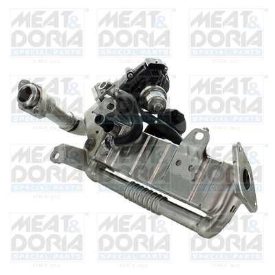 EGR Module