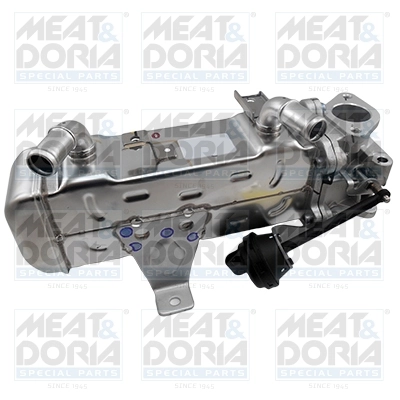 Module-EGR MEAT & DORIA 88456