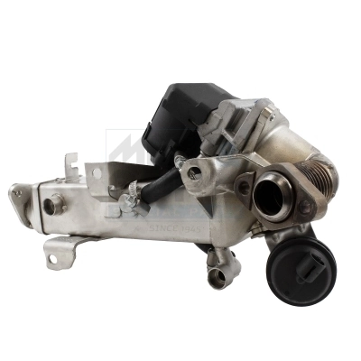 EGR Module