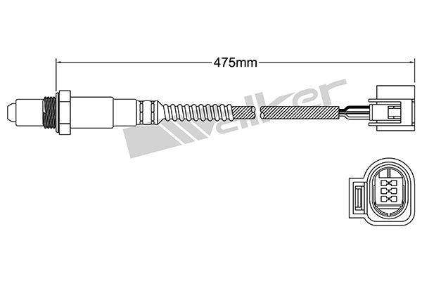 Oxygen Sensor