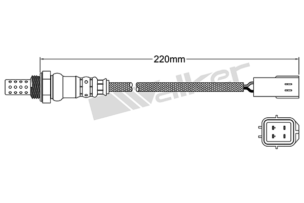 Oxygen Sensor
