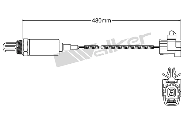 Oxygen Sensor