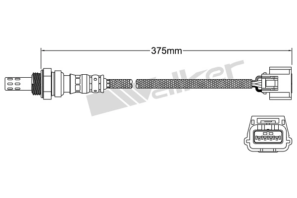 Oxygen Sensor