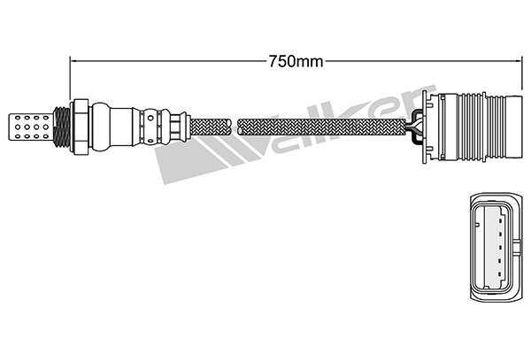 Oxygen Sensor
