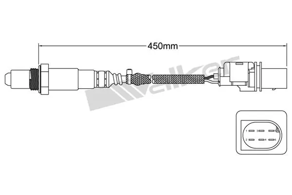 Oxygen Sensor