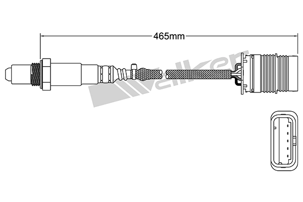 Oxygen Sensor