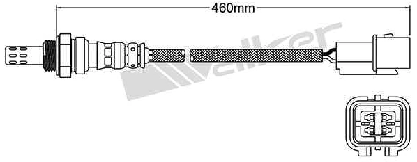 Oxygen Sensor