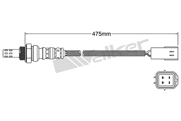 Oxygen Sensor