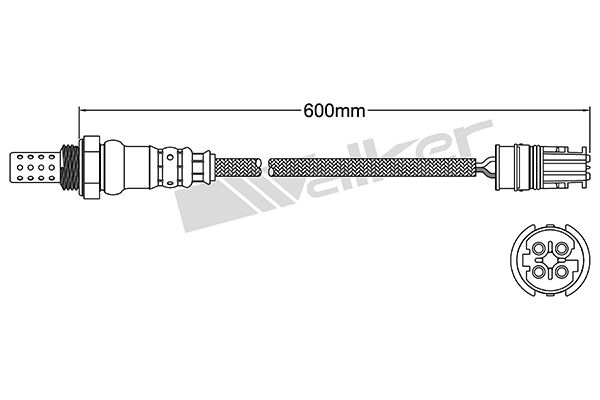 Oxygen Sensor