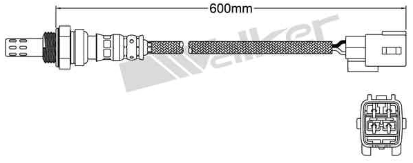 Oxygen Sensor