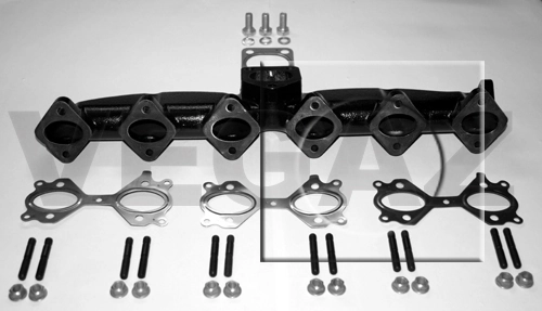 Manifold, exhaust system