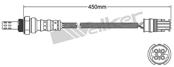 Oxygen Sensor