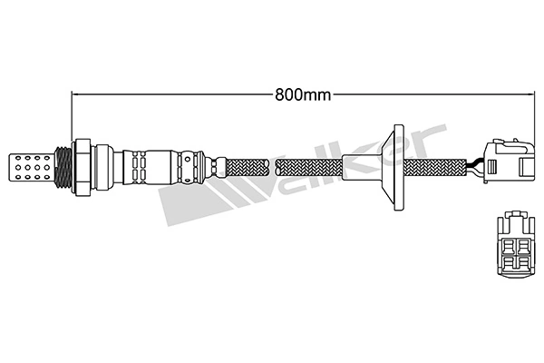 Oxygen Sensor