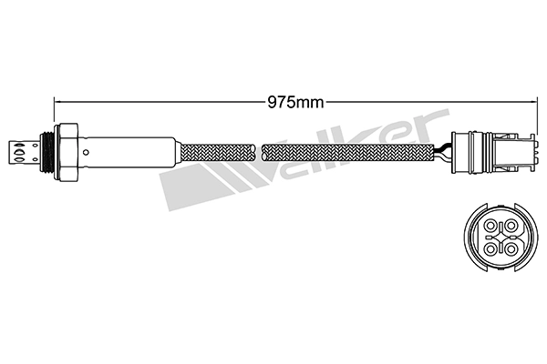 Oxygen Sensor