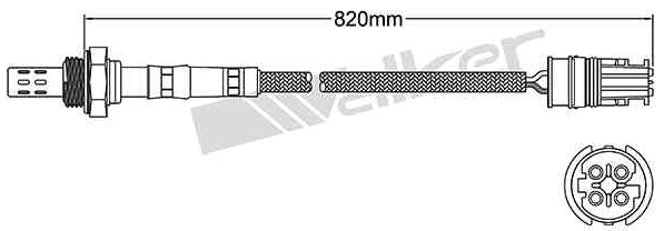 Oxygen Sensor