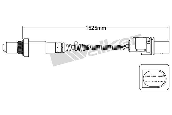 Oxygen Sensor