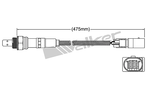 Oxygen Sensor