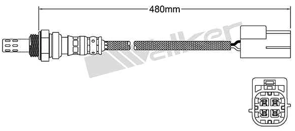 Oxygen Sensor