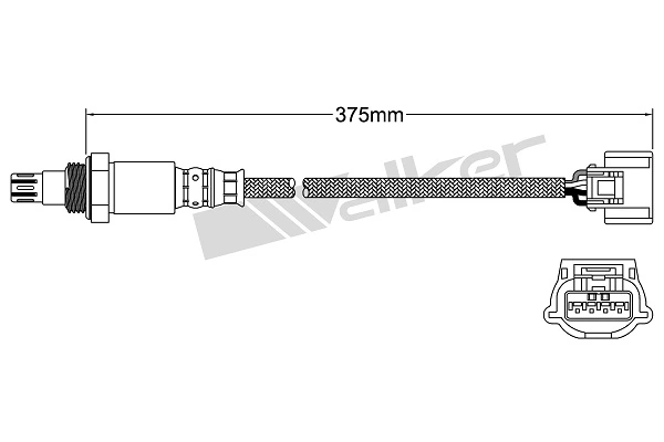 Oxygen Sensor