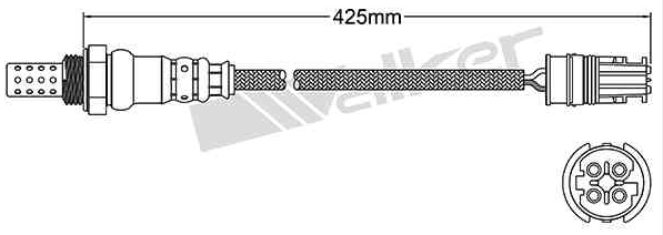 Oxygen Sensor