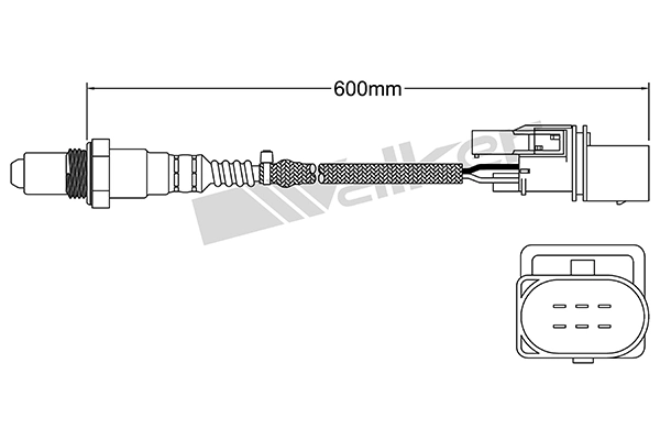 Oxygen Sensor