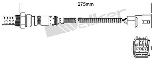 Oxygen Sensor