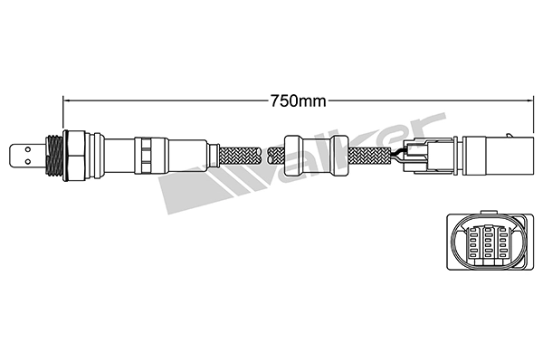 Oxygen Sensor