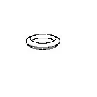 Seal Ring, exhaust pipe