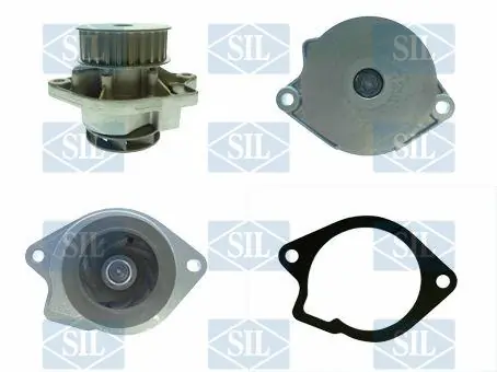 Pompe à eau, refroidissement du moteur Saleri SIL PA1434
