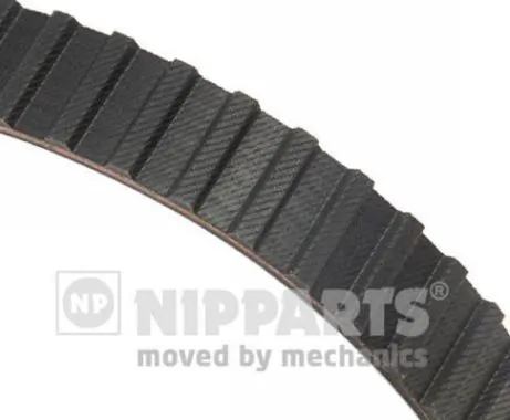 Timing Belt